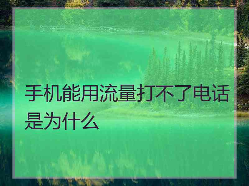 手机能用流量打不了电话是为什么