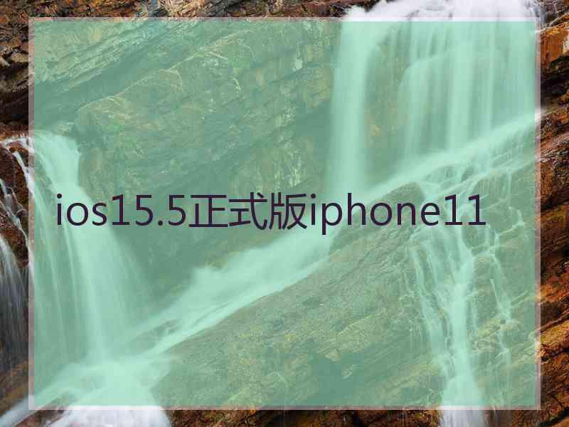 ios15.5正式版iphone11