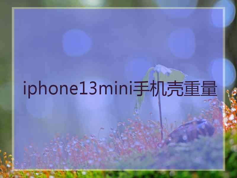 iphone13mini手机壳重量