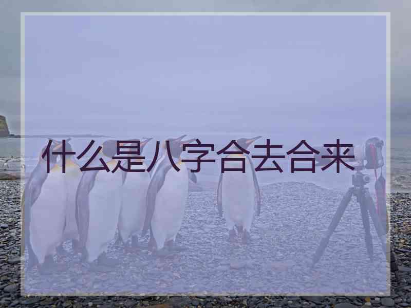 什么是八字合去合来