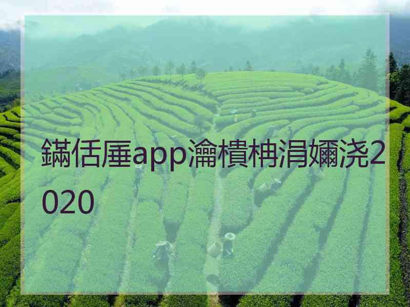 鏋佸厜app瀹樻柟涓嬭浇2020