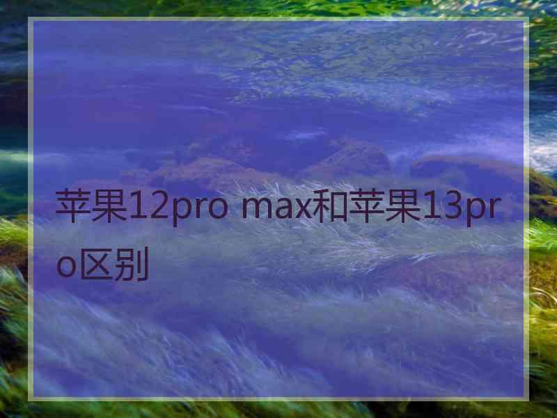 苹果12pro max和苹果13pro区别