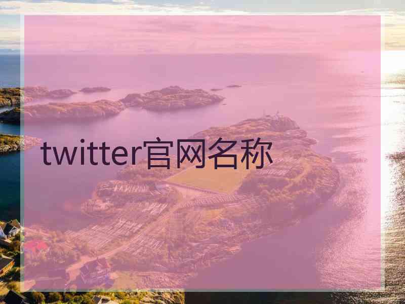 twitter官网名称