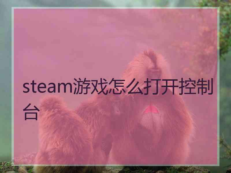 steam游戏怎么打开控制台