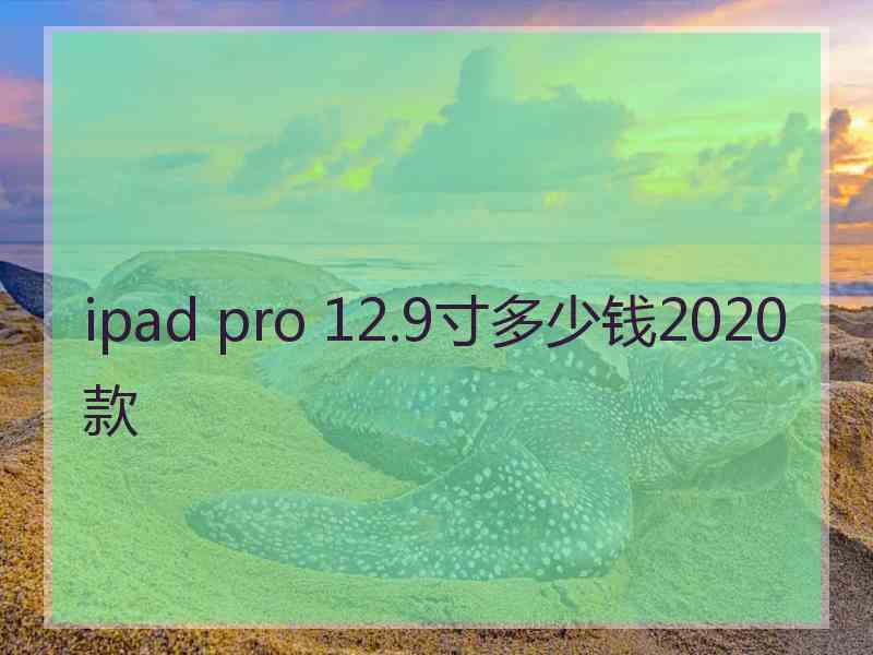 ipad pro 12.9寸多少钱2020款