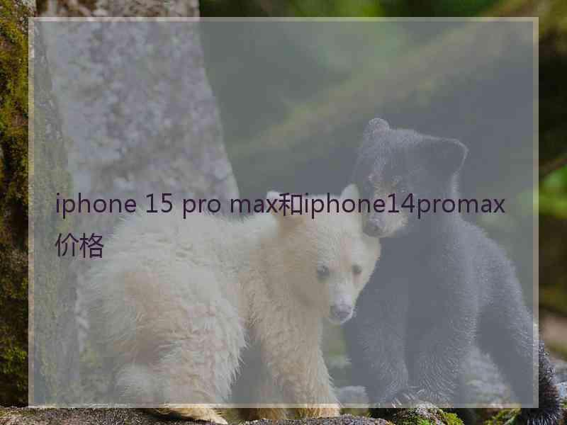 iphone 15 pro max和iphone14promax价格