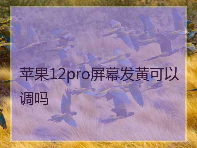 苹果12pro屏幕发黄可以调吗