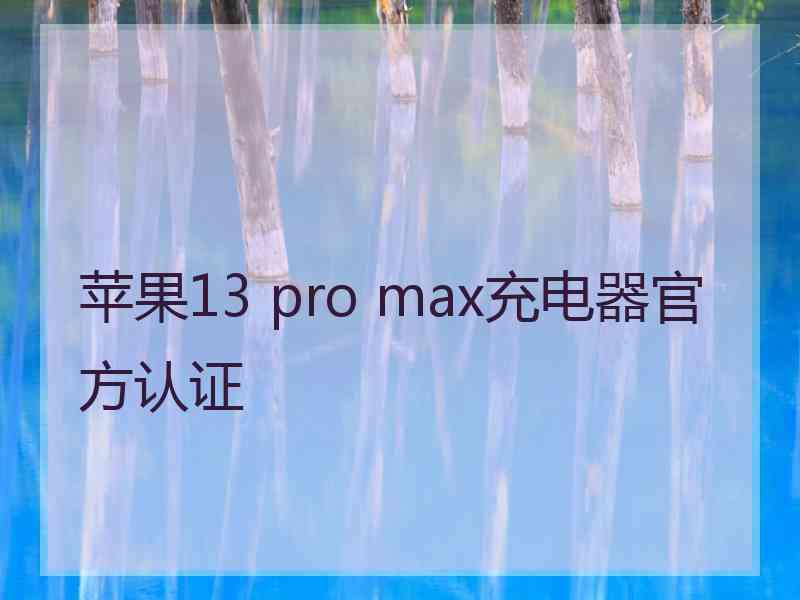 苹果13 pro max充电器官方认证