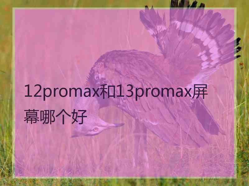 12promax和13promax屏幕哪个好