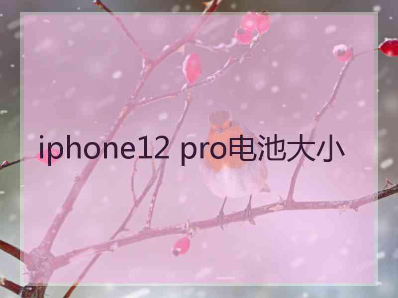 iphone12 pro电池大小