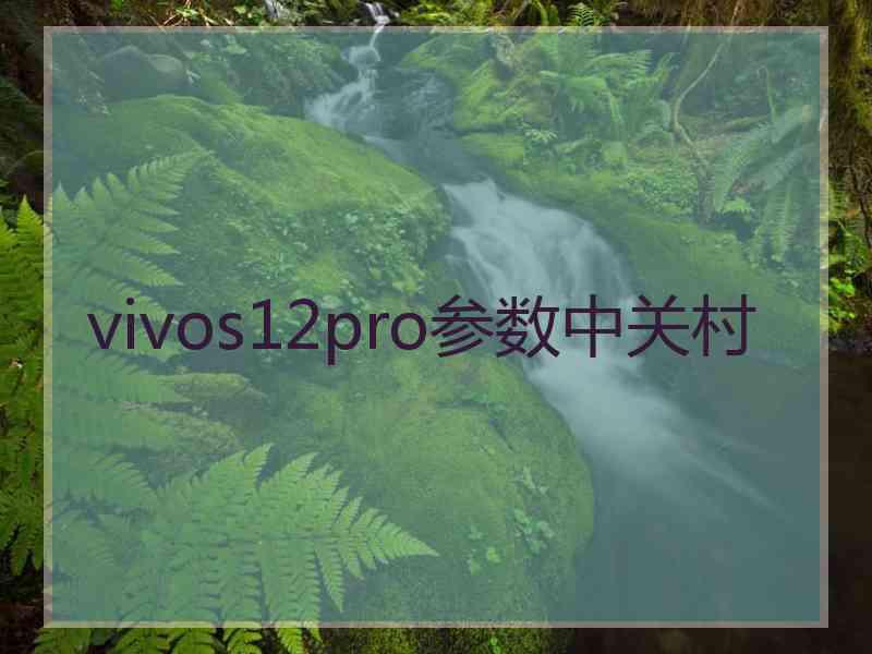 vivos12pro参数中关村