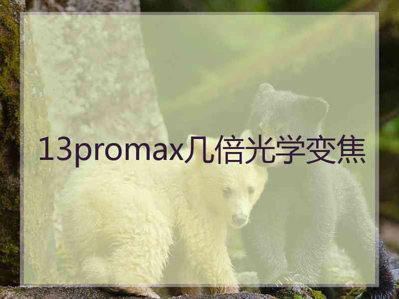 13promax几倍光学变焦