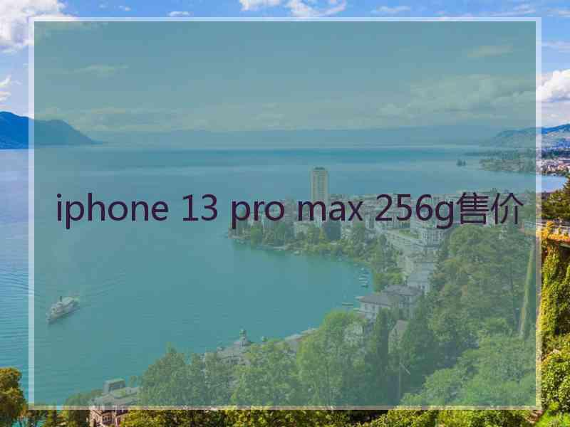 iphone 13 pro max 256g售价