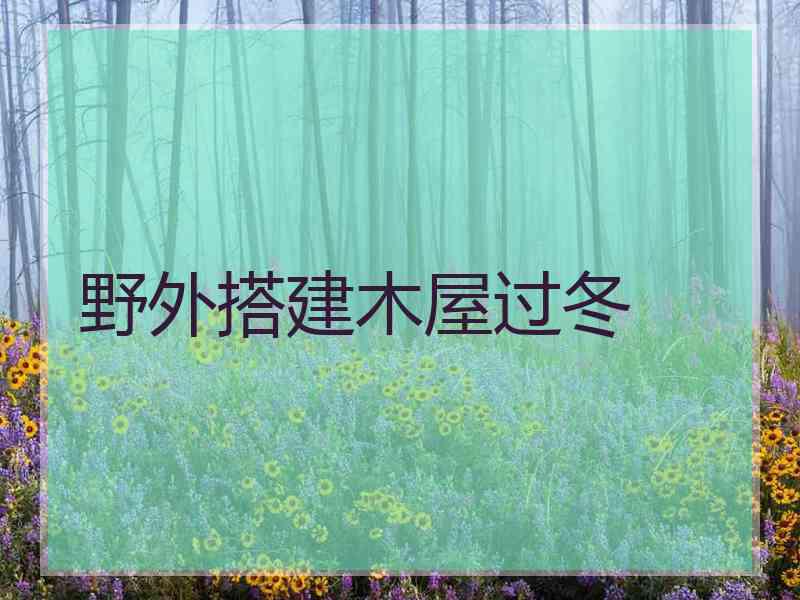 野外搭建木屋过冬