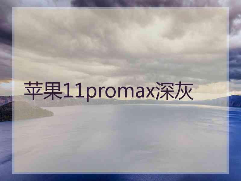 苹果11promax深灰