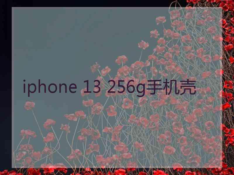 iphone 13 256g手机壳