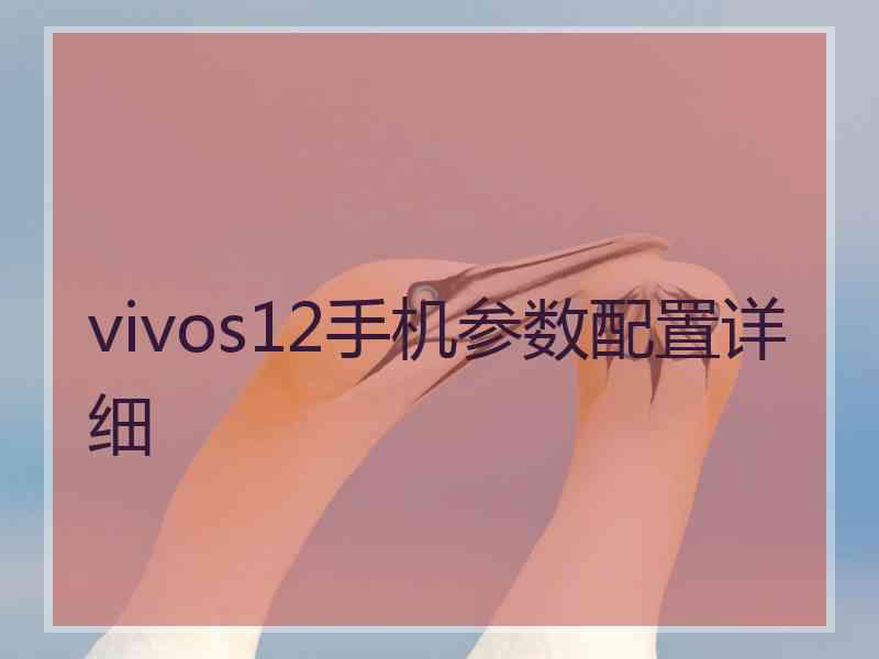 vivos12手机参数配置详细