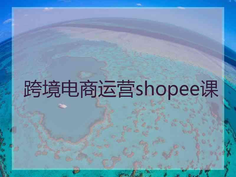 跨境电商运营shopee课