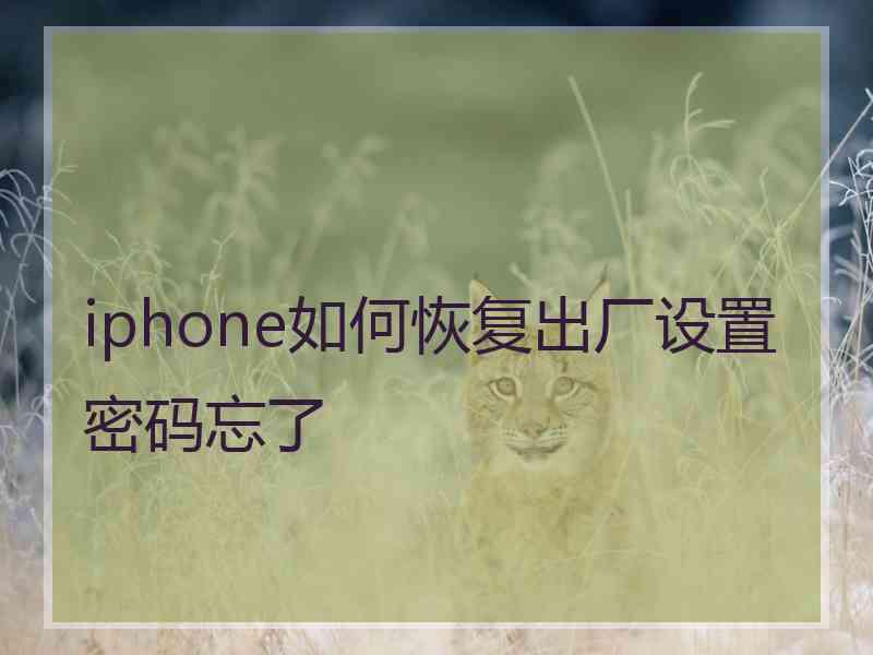 iphone如何恢复出厂设置密码忘了