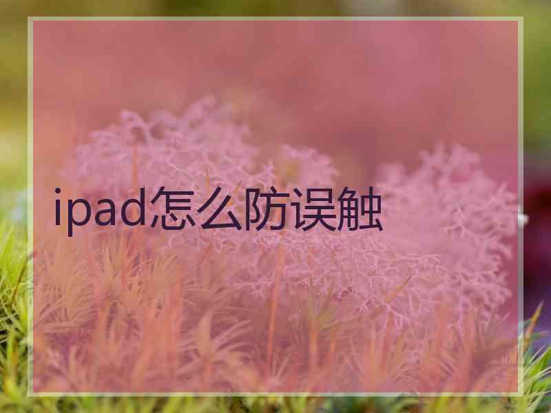 ipad怎么防误触