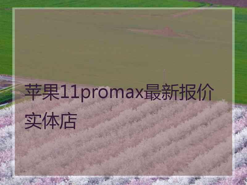 苹果11promax最新报价实体店