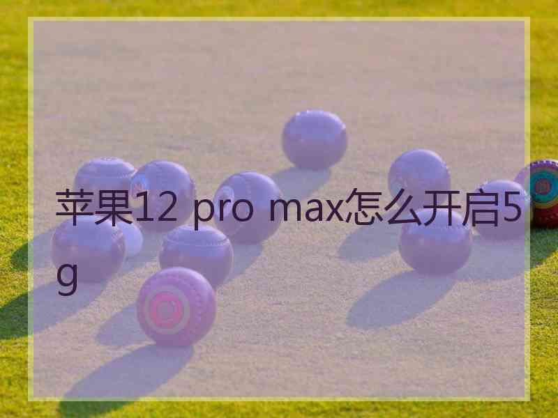 苹果12 pro max怎么开启5g