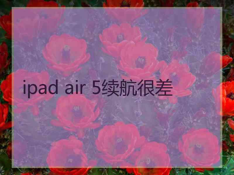 ipad air 5续航很差