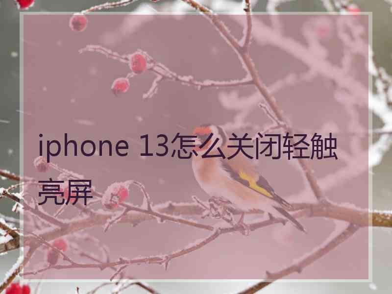 iphone 13怎么关闭轻触亮屏