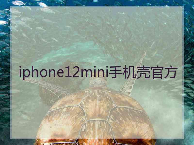 iphone12mini手机壳官方