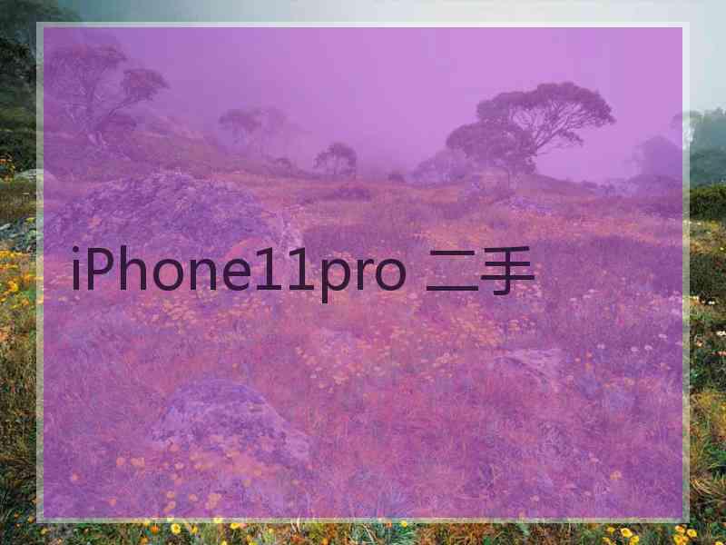 iPhone11pro 二手