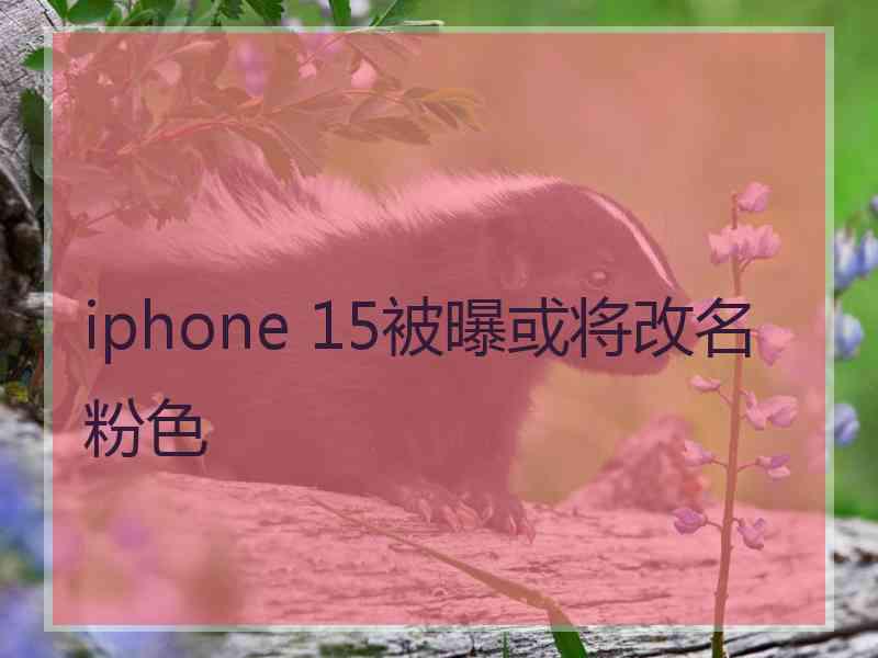 iphone 15被曝或将改名粉色