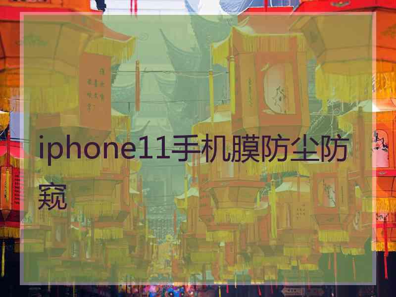 iphone11手机膜防尘防窥