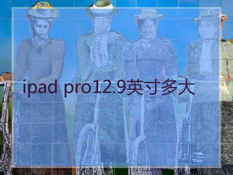 ipad pro12.9英寸多大