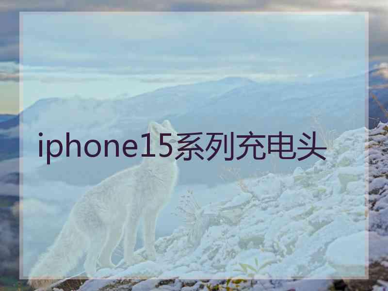 iphone15系列充电头