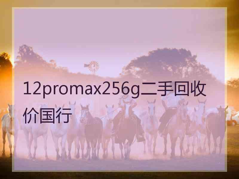 12promax256g二手回收价国行