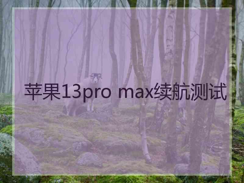 苹果13pro max续航测试