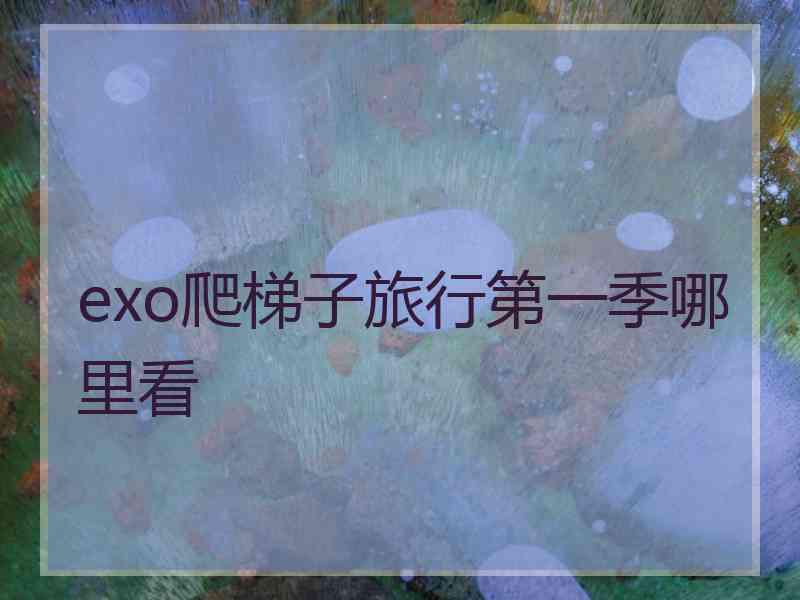 exo爬梯子旅行第一季哪里看