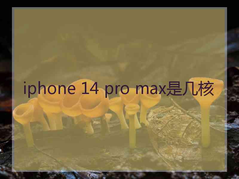 iphone 14 pro max是几核