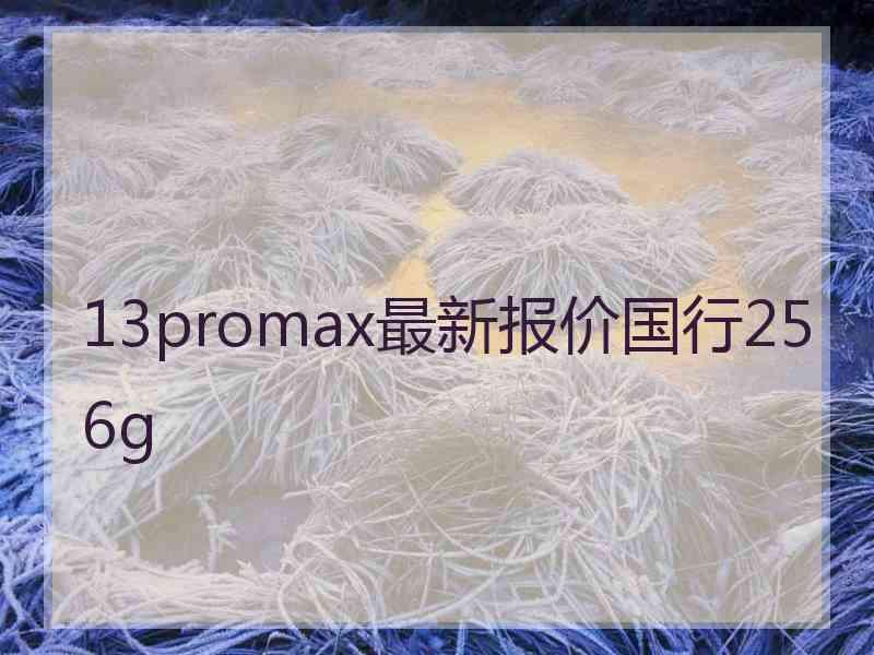 13promax最新报价国行256g