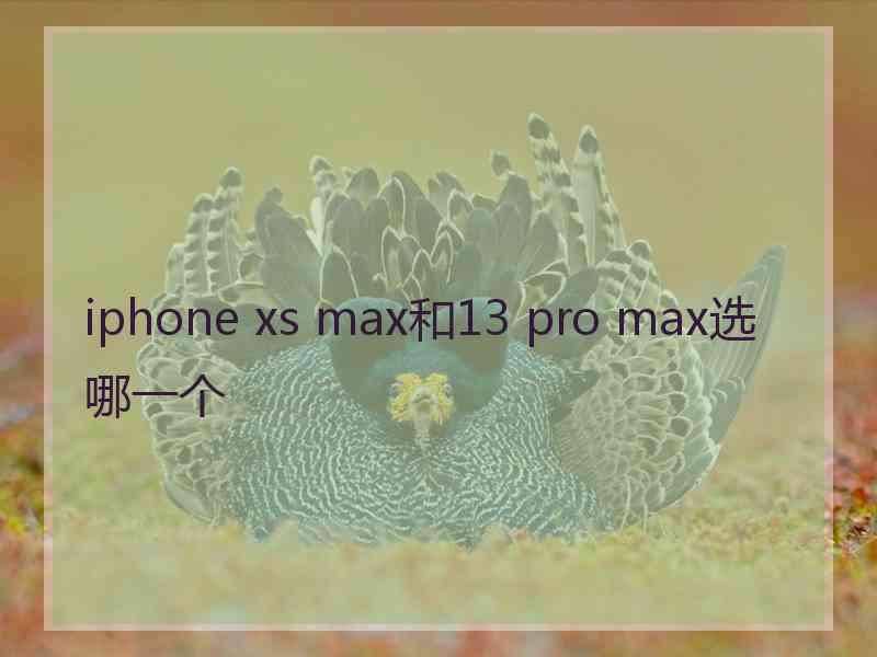 iphone xs max和13 pro max选哪一个