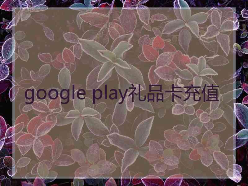 google play礼品卡充值