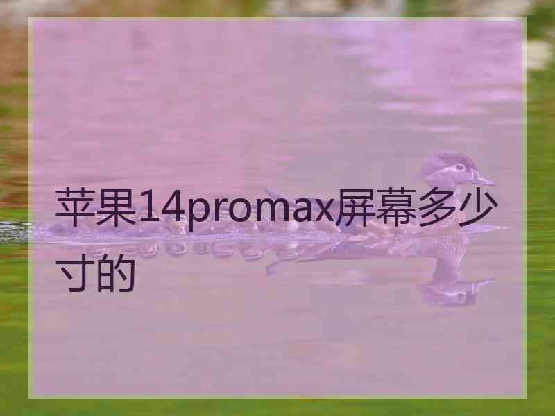 苹果14promax屏幕多少寸的