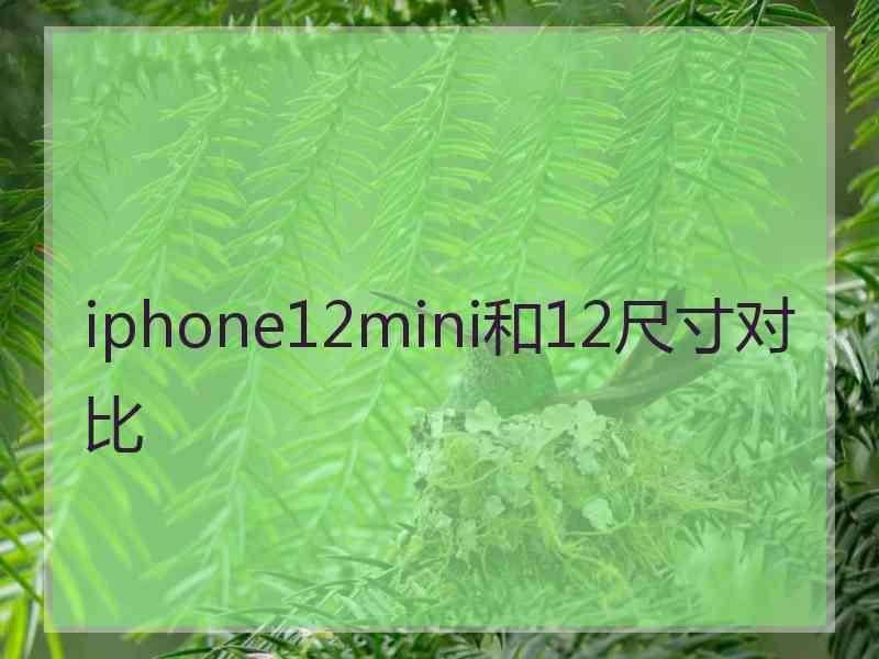 iphone12mini和12尺寸对比