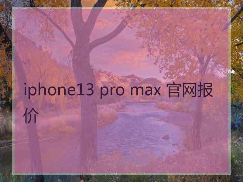 iphone13 pro max 官网报价