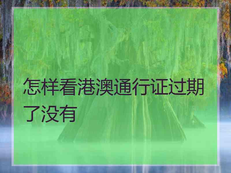 怎样看港澳通行证过期了没有