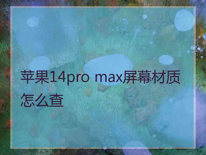 苹果14pro max屏幕材质怎么查