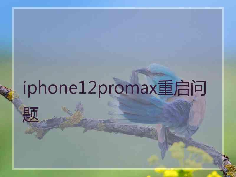 iphone12promax重启问题