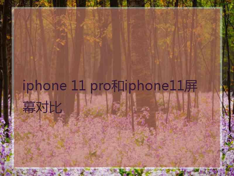 iphone 11 pro和iphone11屏幕对比