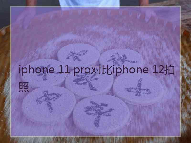 iphone 11 pro对比iphone 12拍照