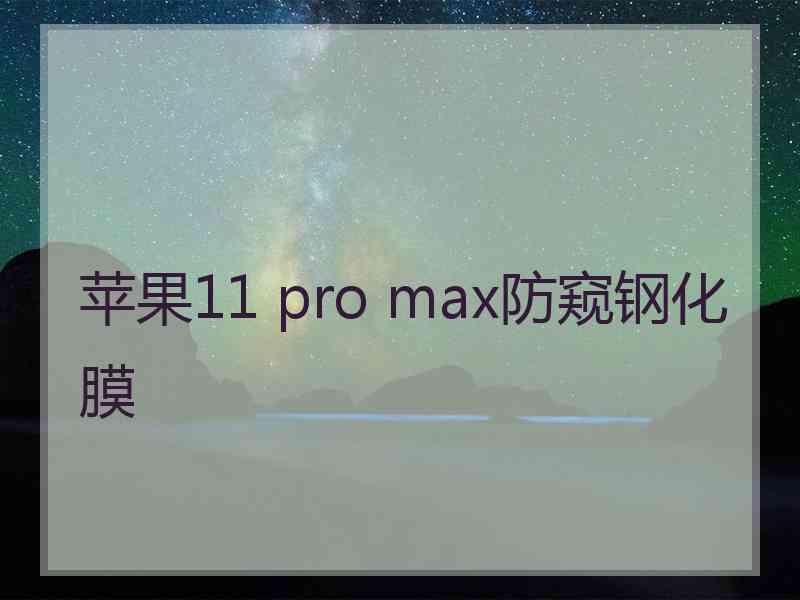 苹果11 pro max防窥钢化膜